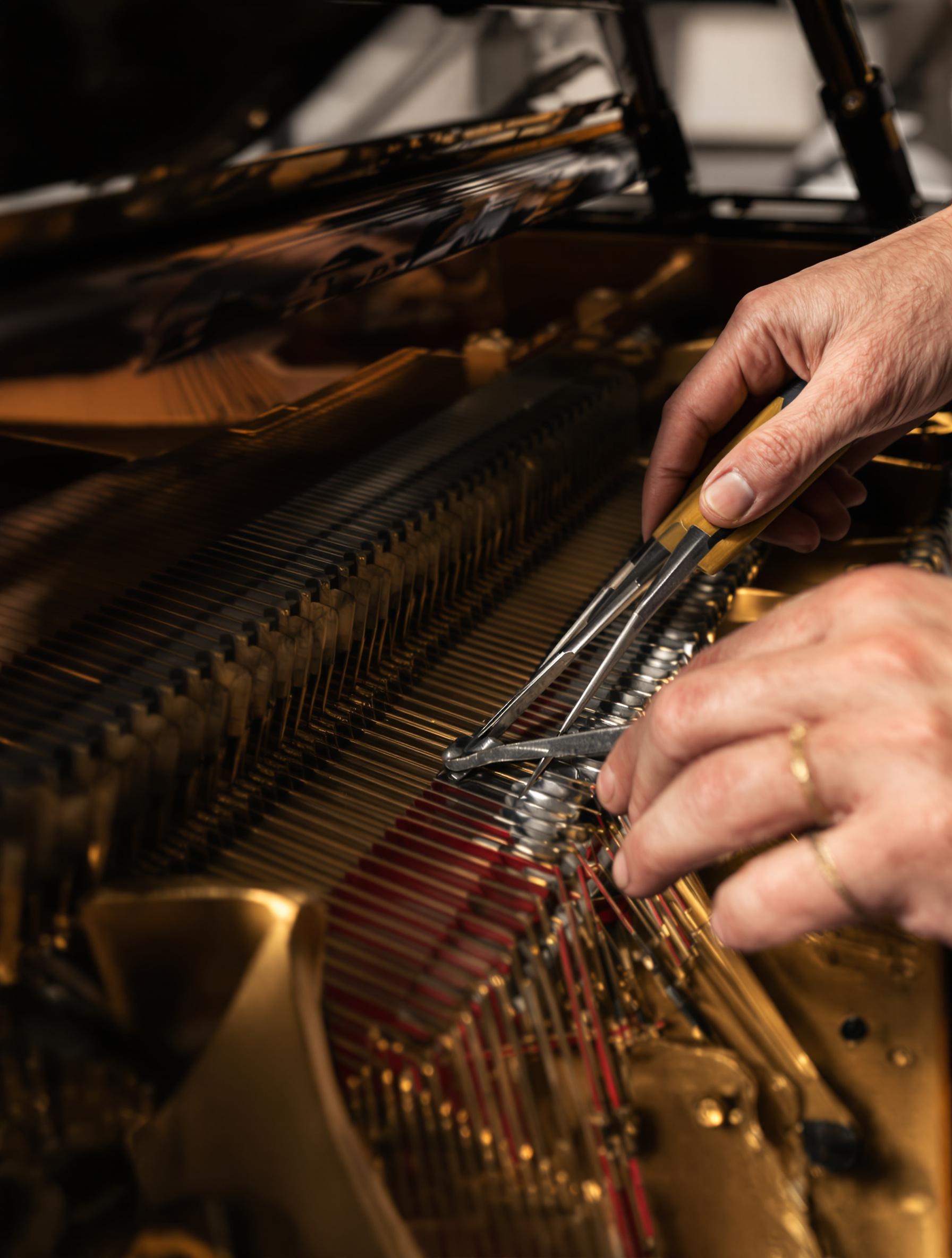 Mains expertes inspectant cordes et cadre fonte Steinway ancien.