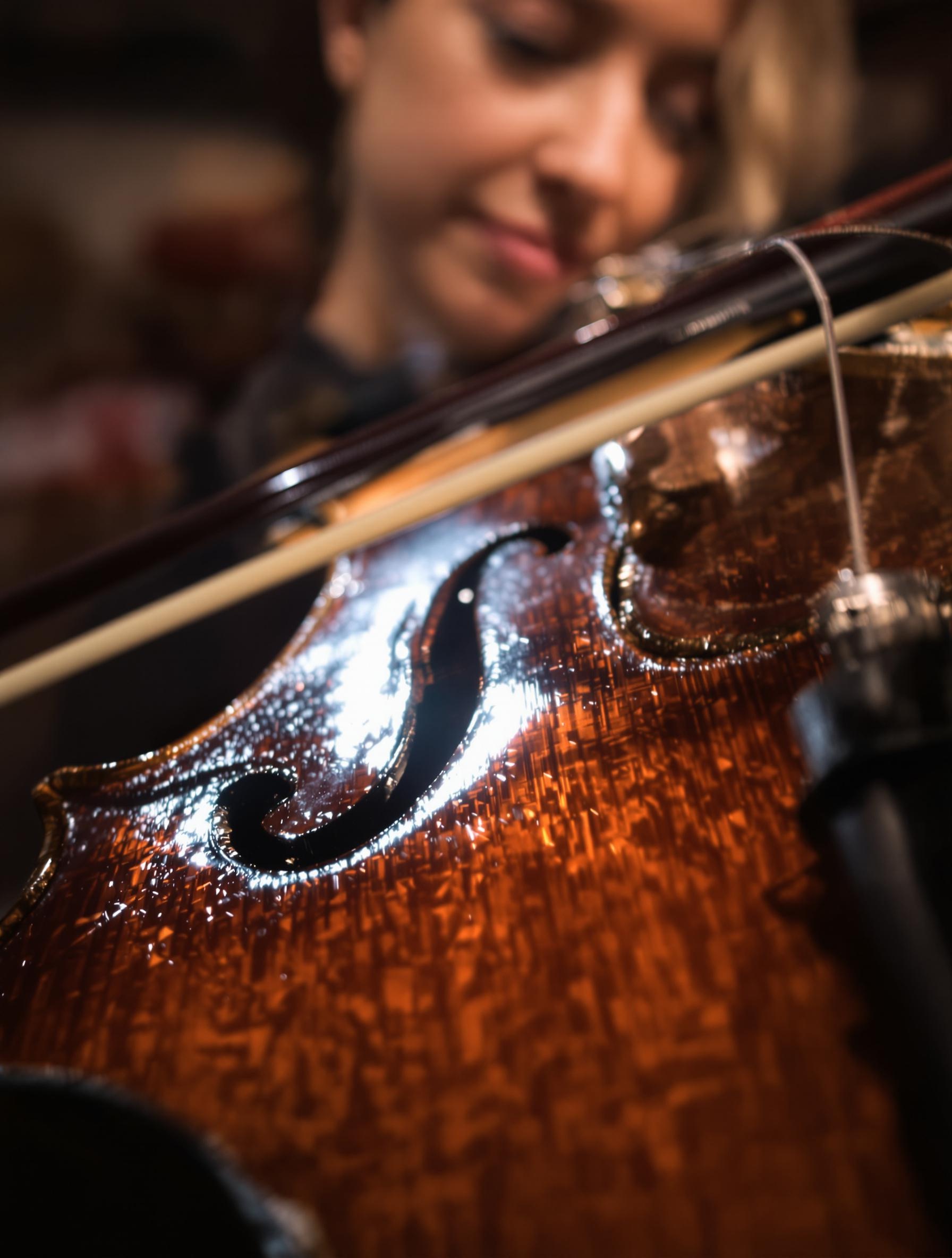 Violon gitan lustré, célèbre pour sa corde de Mi et son timbre unique.